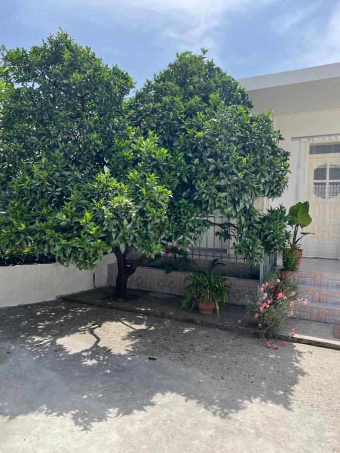 Rooms For Rent Habipi Wlora Zewnętrze zdjęcie